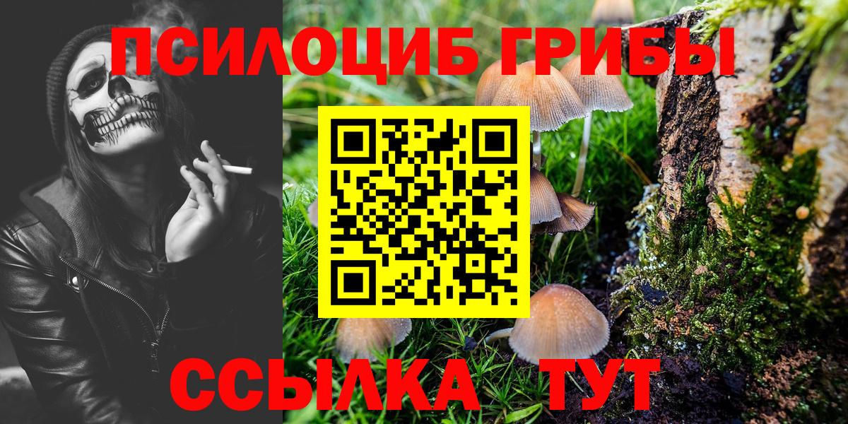Псилоцибиновые грибы Cubensis Ростов-на-Дону