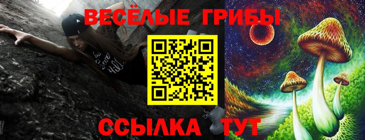 Ростов-на-Дону  Псилоцибиновые грибы MAGIC MUSHROOMS  где можно купить   Вход с VPN 